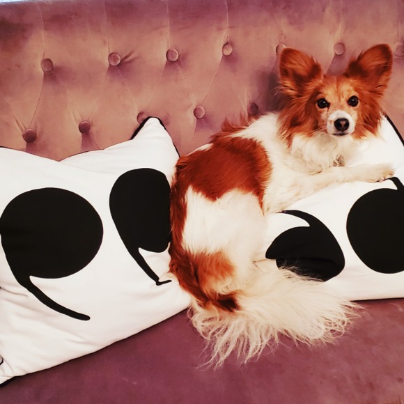 Meet your Posher, Laurie - Picture 1 of 1